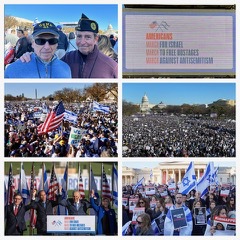 Historic pro-Israel Rally in Washington, DC 11/14